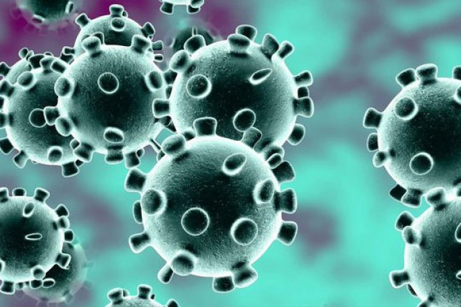 Coronavirus: Hyderabad reduces containment zones