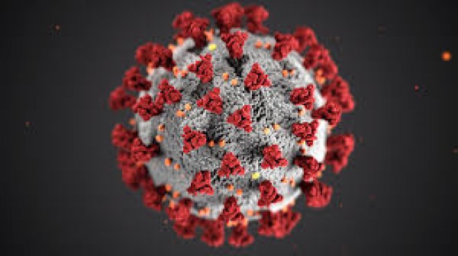 Corona Virus : A medicine will kill Corona Virus
