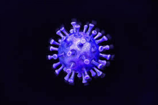 58000 died from dangerous corona Virus