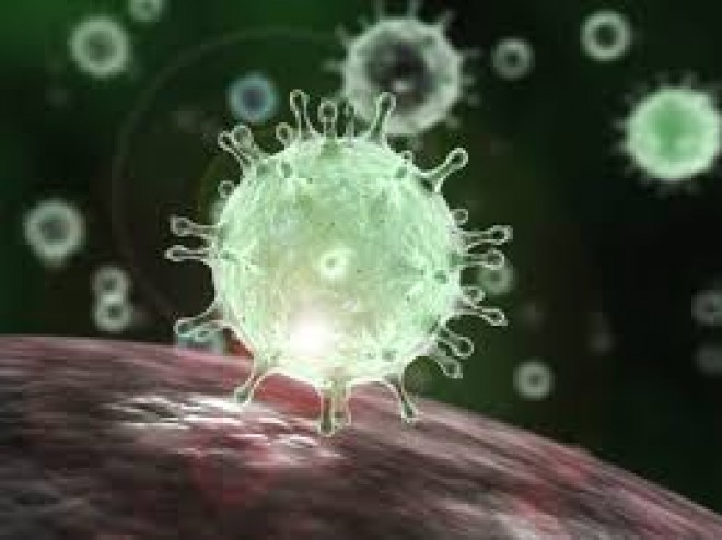  Coronavirus pandemic will come to an end by February 2021?