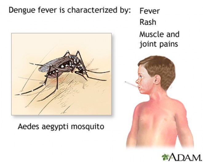 Myanmar has reported 2,862 dengue fever infection cases 