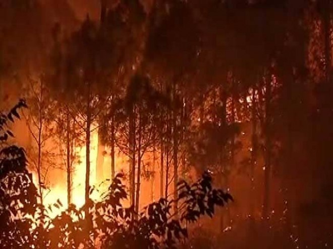 Maharashtra: Three labourers died and two were seriously injured in forest fire 