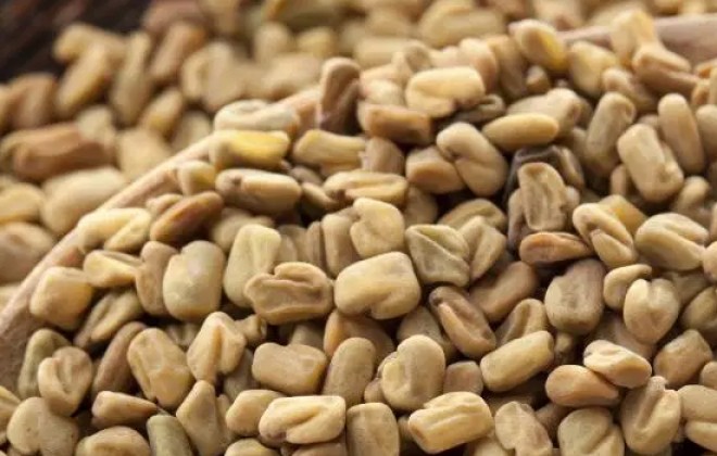 Fenugreek seeds  benefits 