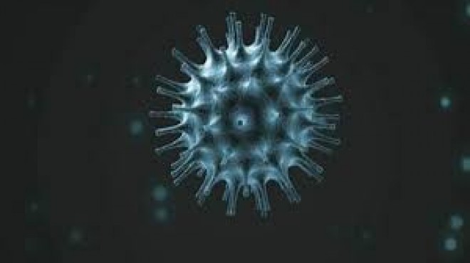 BIG NEWS... Finally UoH professor develops vaccine for Coronavirus