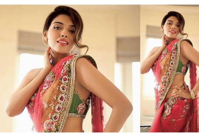 Actress Asin Second Innings 