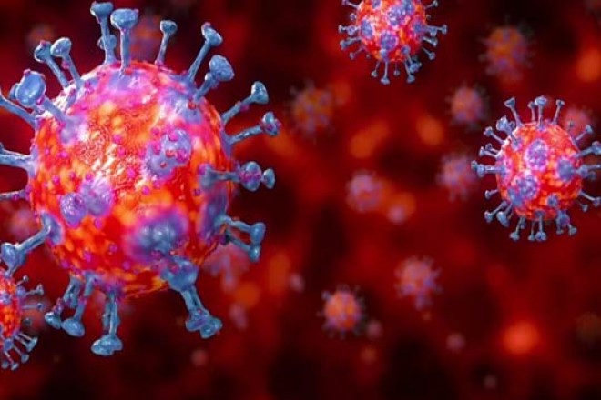 Another Coronavirus positive case in Andhra Pradesh