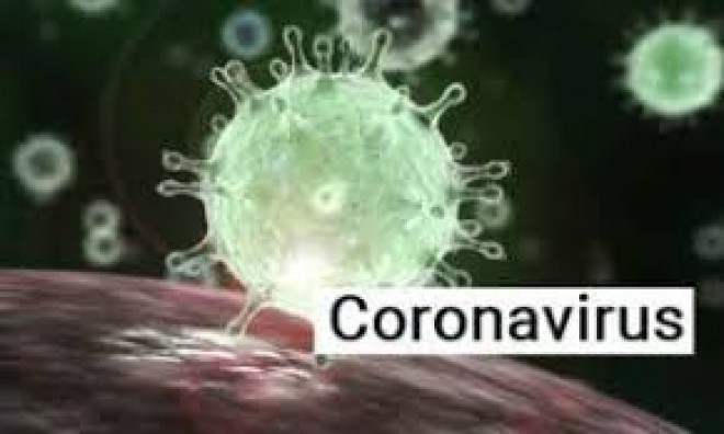 India reports 415 coronavirus cases