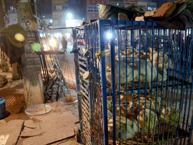 Hindu Sena members arrested for shutting meat shops