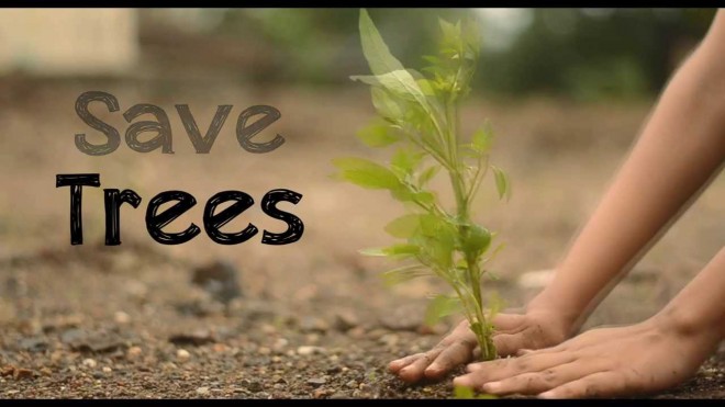 Vata Foundation saving trees in Hyderabad