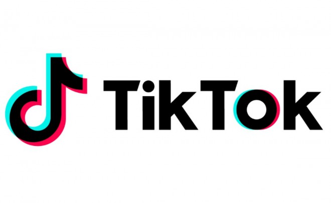 TikTok removes over 6 mn videos in India